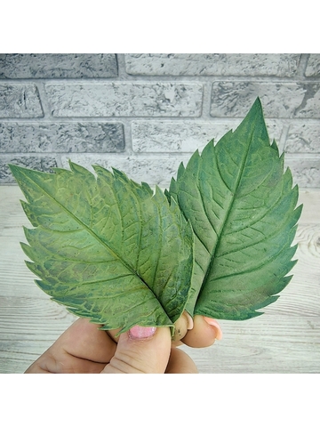 Молды пластиковые листья универсальные 3шт