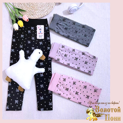 Лосины хлопок д (3-6) 260416-D-А208