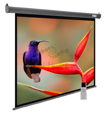 Экран Cactus 102" 138x220см SIlverMotoExpert CS-PSSME-220X138-DG 16:10 настенно-потолочный рулонный темно-серый (моторизованный привод)