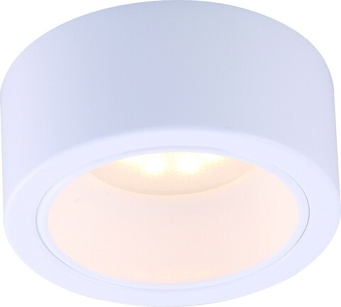 Накладной светильник Arte Lamp EFFETTO A5553PL-1WH