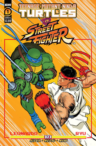 Teenage Mutant Ninja Turtles Vs Street Fighter #1 (Cover C)