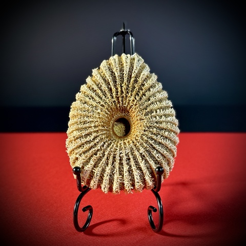 Морская звезда на подставке