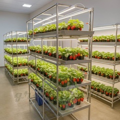 Многоярусный гидропонный стеллаж 4 яруса B2125хД2100хШ600мм до 400 растений