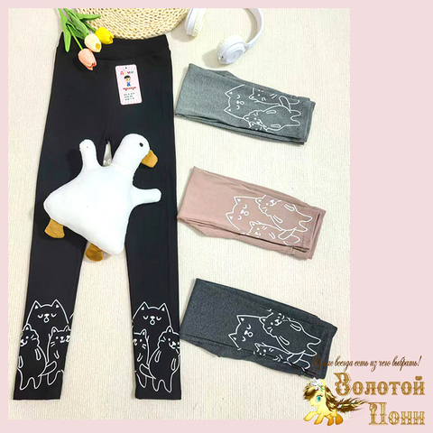 Лосины хлопок д (5-8) 260416-D-А614