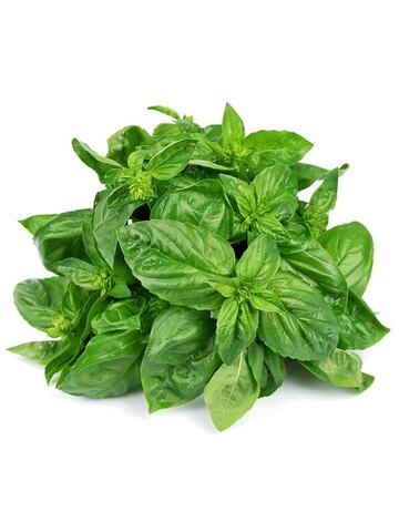Базилик Тайский, 250 г Sweet Basil