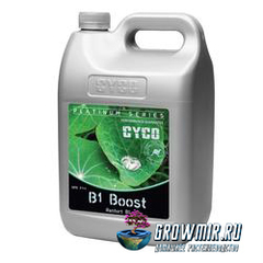 CYCO Platinum Series CYCO B1 Boost 5л