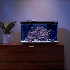 Умный аквариум Xiaomi Mijia Smart Fish Tank Black (MYG100)