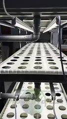 Многоярусный гидропонный стеллаж 3 яруса B1750хД2100хШ600мм до 300 растений