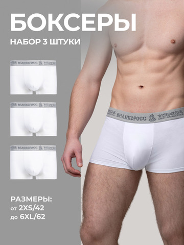 Комплект из 3 трусов-боксеры – «Арктические войска»
