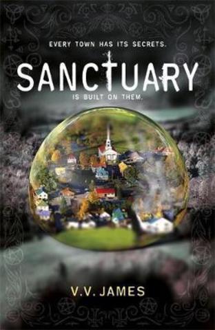 Sanctuary : The Top Ten Sunday Times Bestseller