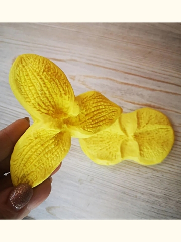 Молды 
