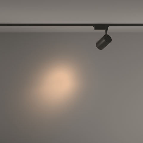 Трековый светильник Maytoni Vuoro TR003-1-26W3K-S-B