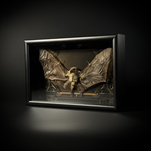 Летучая мышь