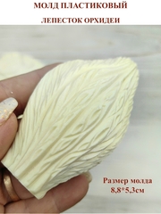 Молды 