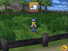 Harvest Moon: Save the homeland (Playstation 2)