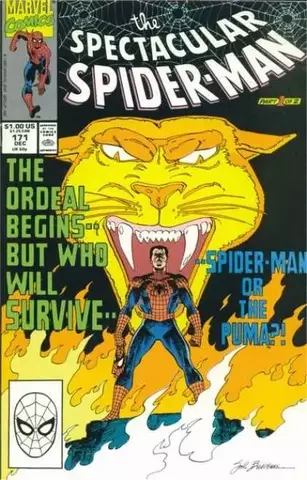 Spectacular Spider-Man Vol 1 #171