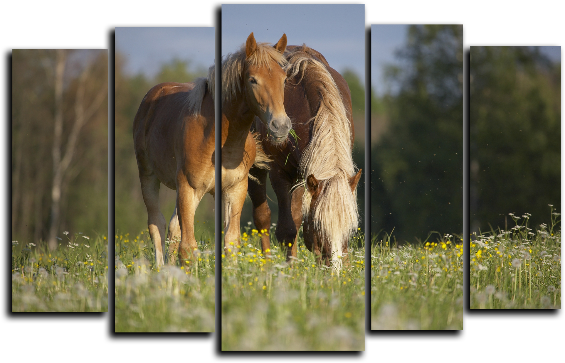 Животные Модульная картина "Игривые лошади" М429.png