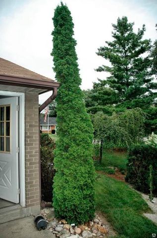 Дегрут Спайр купить