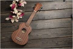 FLIGHT NUS310 - Укулеле сопрано