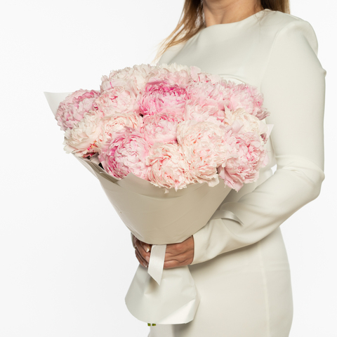 Букет 23 бело-розовых пиона