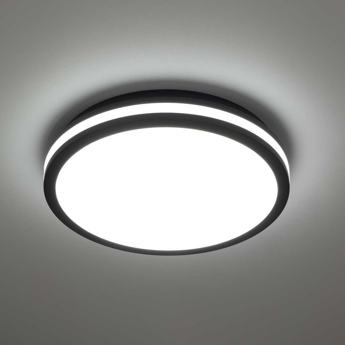 Светильник накладной Citilux LUNS CL711021V
