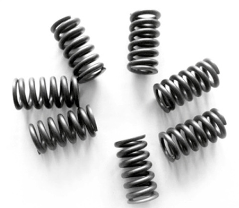 MO060F Пружины сцепления мото к-кт  (FSS0404)   NEWFREN