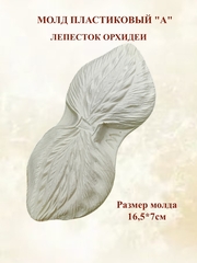 Молды 