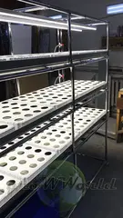 Многоярусный гидропонный стеллаж 3 яруса B1750хД2100хШ600мм до 300 растений