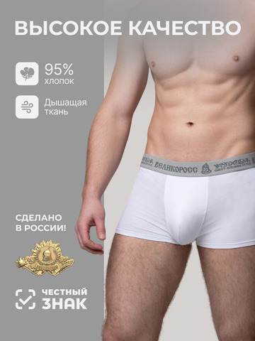 Комплект из 3 трусов-боксеры – «Арктические войска»