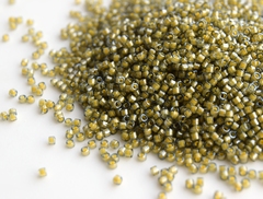 DB-2046 Luminous Mushroom