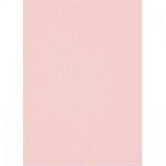 Бумага цветная для офиса А4, 20л., Пастель "Розовый", Alingar, 70г/м2, пленка т/у