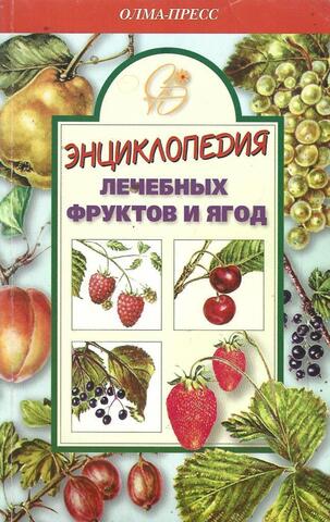Энциклопедия лечебных фруктов и ягод