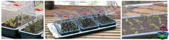 Пропагатор GARLAND Small High Dome Propagator, GARLAND, Пропагатор, GARLAND, Growmir.ru, гроумир, гровмир, Growmir, купить систему для выращивания растений, установка для выращивания растений,  проращиватель, теплица, мини - теплица, проращиватель семян, купить проращиватель семян, черенки прорастить, прорастить семя, семечко,