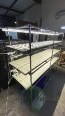 Многоярусный гидропонный стеллаж 3 яруса B1750хД2100хШ600мм до 300 растений