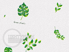 Самоклеящиеся обои Монстера 500*2800*2 мм