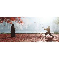Ghost of Tsushima/Призрак Цусимы Director's Cut PS5