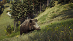 Way of the Hunter (для ПК, цифровой код доступа)
