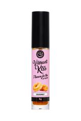Бальзам для губ Lip Gloss Vibrant Kiss со вкусом пончиков - 6 гр. - 