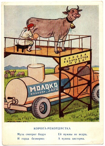 Открытка-агитка. 1954 г. Корова- рекордистка. Стихи  XF