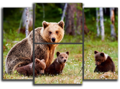 Модульная картина "Медведи в лесу"