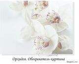 Инфракрасный обогреватель-картина РЭН-5 "Орхидея", 0,5 кВт