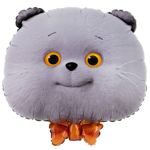 К Фигура, Кот Басик, 16