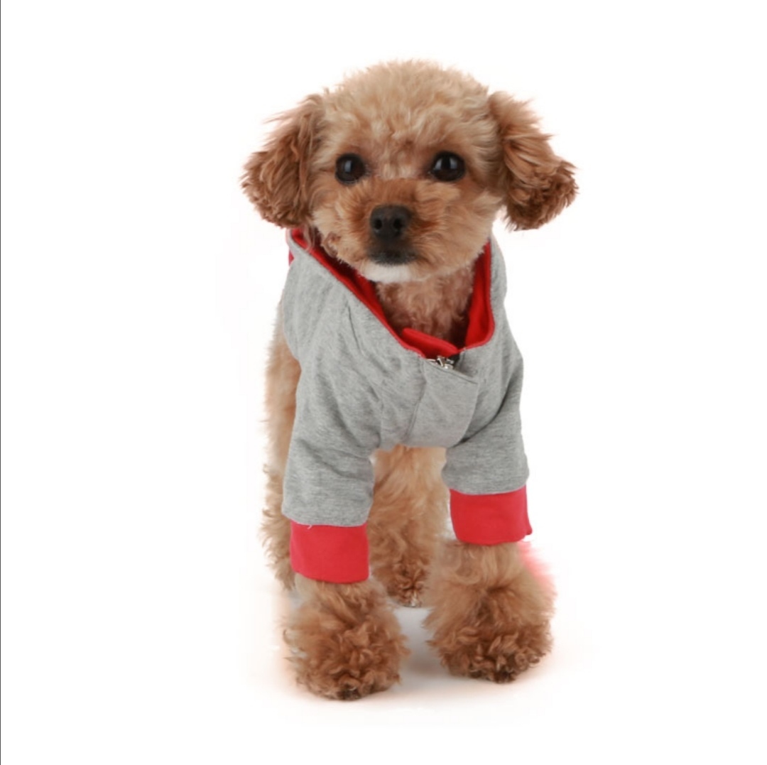 377 PA - Толстовка-курточка для собак 