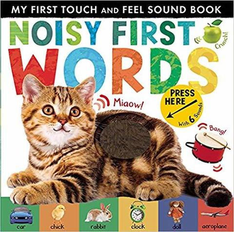Noisy First Words : My First Touch and Feel Sound Book