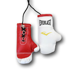 Перчатки боксерские комбинированные "Everlast, белые с красным