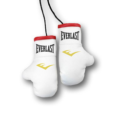 Перчатки боксерские комбинированные "Everlast, белые с красным