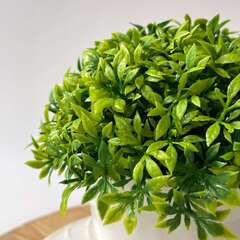 Зелень искусственная в белом кашпо, Черничная, мелколистная, высота 13 см, 1 шт.