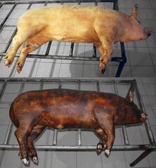 Свинина (пол туши) с опаленной шкурой
