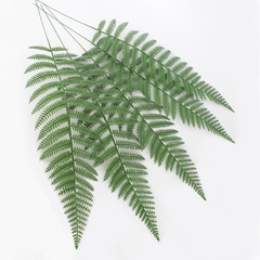 Папоротник, зелень искусственная, 56 см., набор 10 веток.