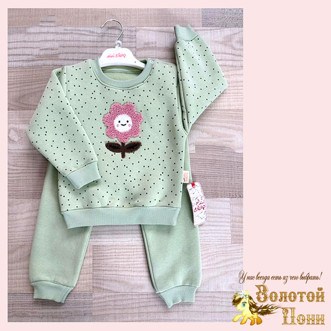 Костюм хл/начес д (74-92) 251105-R1084